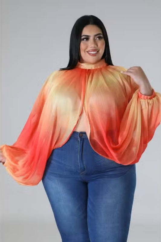 Sheer Voluminous Blouse